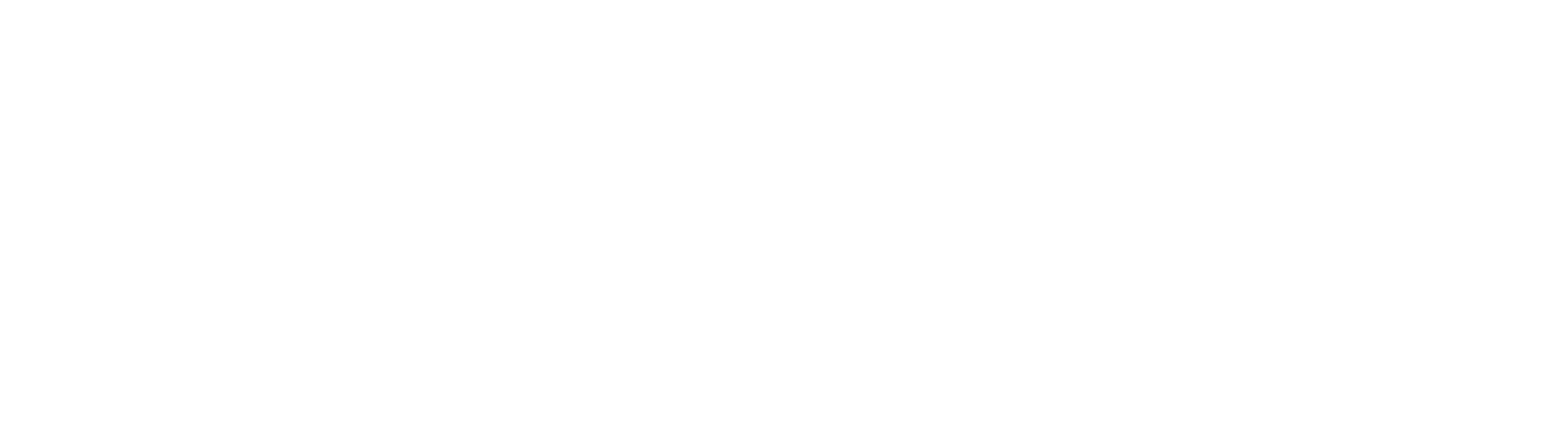 City Gayrimenkul