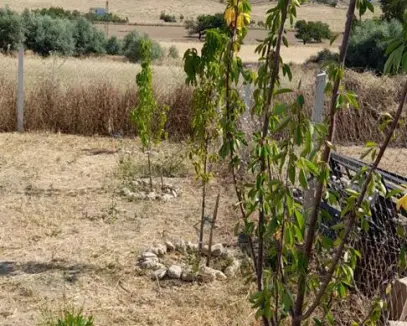 GÖLBAŞINDA ELEKTRİK SU GELMİŞ 400M2 SATILIK HOBİ BAHÇESİ