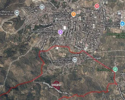 Aydın Bozdoğan'da Satılık Zeytinlik