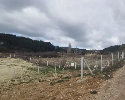 İZMİR KEMALPAŞA DAMLACIKTA SATILIK HİSSE TAPULU TARLAFavorilerime EkleYazdırFacebook ile paylaş X il