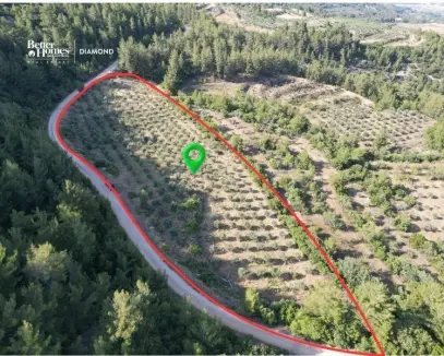 Muğla Menteşe Esençay Satılık Tarla