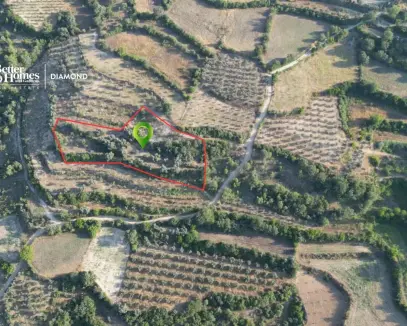 Muğla Menteşe Esençay Satılık Tarla