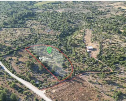 Muğla Menteşe Çiftlik Satılık Fıstık Bahçesi