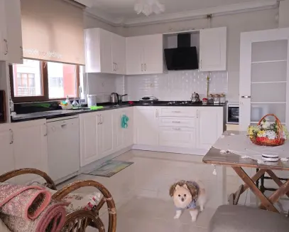 3 NOLU ERDOĞDU BOTANİK PARK YANI 3+1 DAİRE