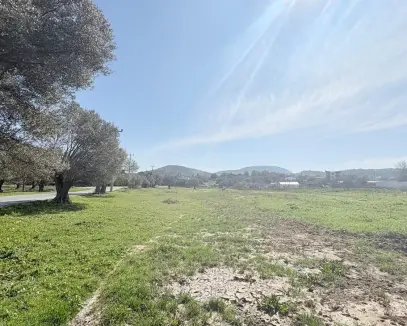 Urla Şirinkentte Büyük Fırsat! 7.600 m² Arazi Gelişen Bölgede