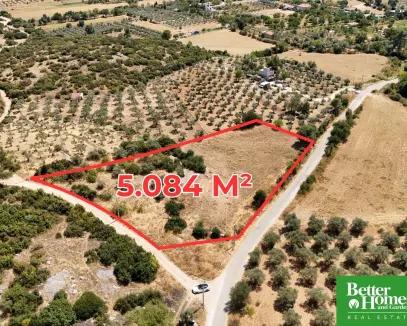 YERKESİK'TE İMAR SINIRINDA TEK TAPU 5084 M2 FIRSAT "TARLA"
