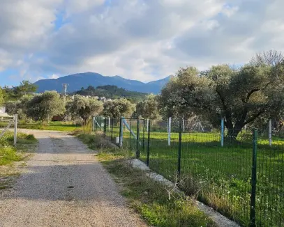 KEMALPAŞA YUKARIKIZILCA 'NIN MÜTHİŞ DOĞASINDA HOBİ BAHÇELERİ