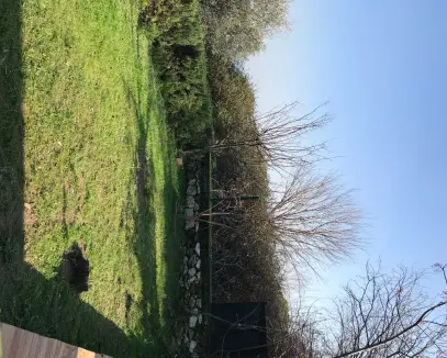 Çiğli Kaklıç 17.300 m2 Tarla