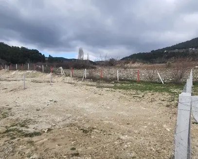 İZMİR KEMALPAŞA DAMLACIKTA SATILIK HİSSE TAPULU TARLA