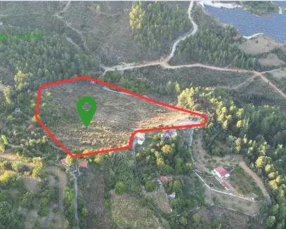 Muğla Kavaklıdere'de fırsat Satılık Tarla