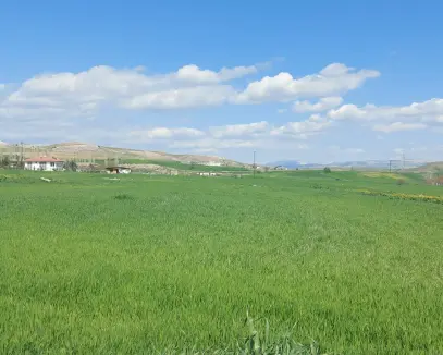 Müstakil parsel, yatırımlık arazi