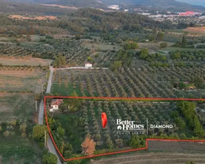 Muğla Menteşe Bayırda İçinde Evi olan Tarla