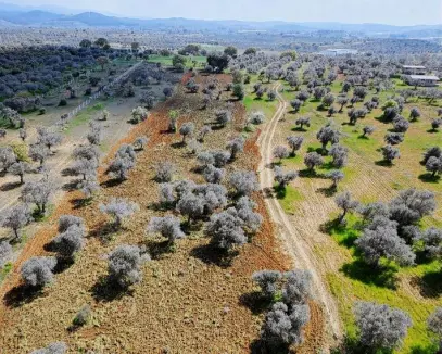 TORBALIDA EN İYİ KONUMDA ANA YOL CEPHELİ YATIRIMLIK TARLA
