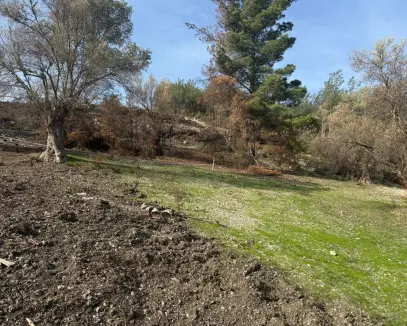 İZMİR BUCA'DA YATIRIMLIK SATILIK TARLA!