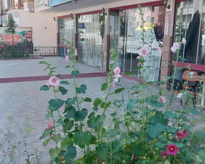 ANADOLU CADDESİ CEPHELİ DÜKKAN/MAĞAZA