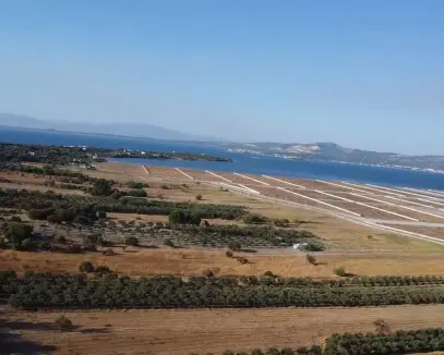 ALİAĞA ÇALTILIDERE'DE DENİZE YAKIN 1000M2 SATILIK ZEYTİNLİK