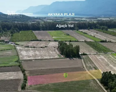 Muğla ula Akçapınar da SATILIK TARLA